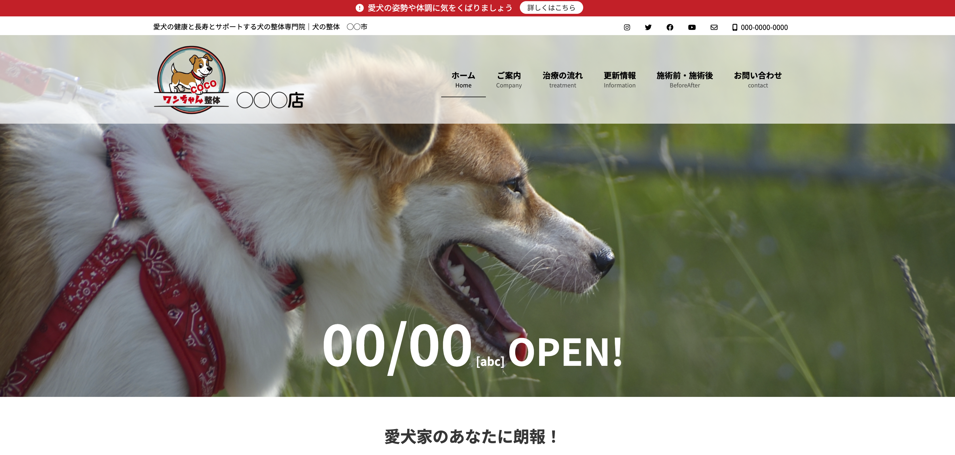 わんちゃん整体FC店ホームページ
